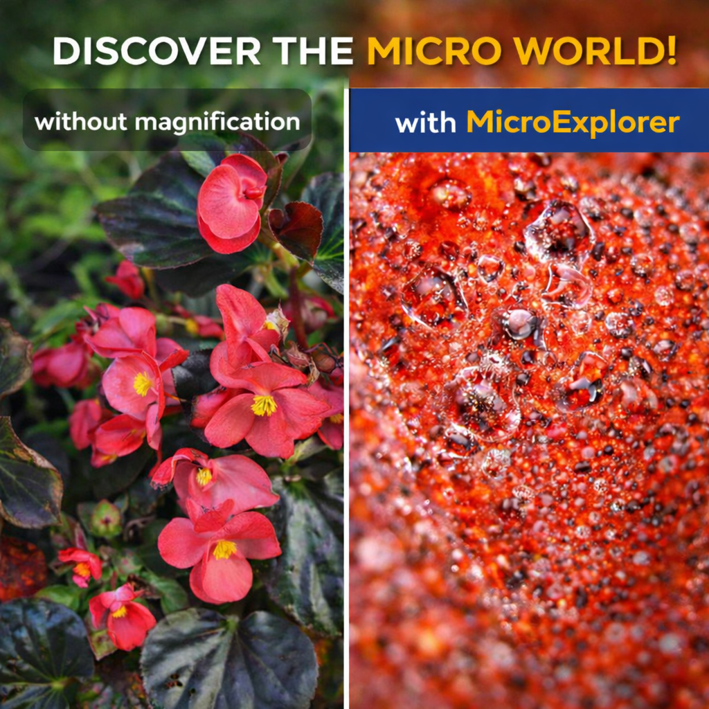 WonderScope™ MicroExplorer